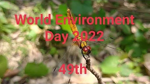 Celebrating World Environment Day 2022|49th|Theme:Only One Earth