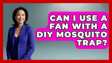 Can I Use A Fan With A DIY Mosquito Trap? - Insects and Invaders