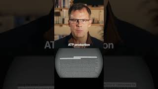 Pregnant and Exhausted? It's Not What You Think.