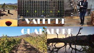LOS MEJORES VIÑEDOS DE VALLE DE GUADALUPE | THE BEST VINEYARDS VLOG #valledeguadalupe #wine #vino