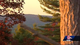 Foliage report: Fall colors showing in parts of New England