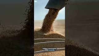 How a single misaligned bolt caused a deadly grain elevator collapse