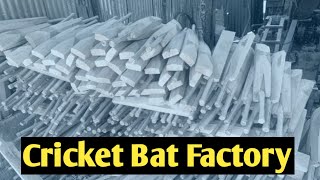 How to making cricket bat in factory | Cricket Bat manufacturing | #techniquetimes screenshot 5