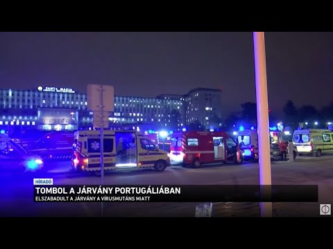 Videó: Hogyan frissíthetem az ülésemet a TAP Portugáliában?