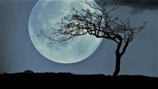 Beethoven - Moonlight Sonata - one hour loop