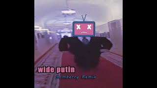 Wide Putin - Song For Denise (Electronic Rock Remix By Somberry)