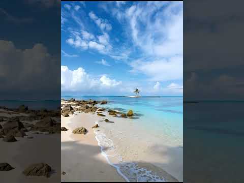 Horoscope For All Zodiac Signs For 23 11 2025 Horoscope Astrology Zodiacsigns