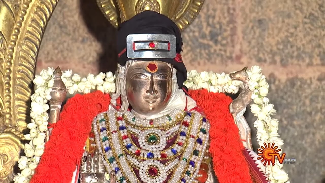 அருள்மிகு மருந்தீஸ்வரர் ஆலயம், திருக்கச்சூர் | ஆலய வழிபாடு | Sun TV