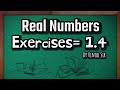 10th ncert mathematics ex.1.4 by vinod sir
