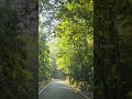 Valparai-Athirappilly Road Trip | Thrilling-Scenic route through forest