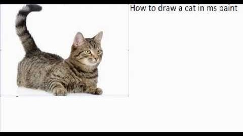 How to draw a cat on MS Paint (Very realistic)