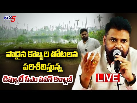 LIVE : పాడైన కొబ్బరి తోటలన పరిశీలిస్తున్నDeputy CM Pawan Kalyan Visits Kesanapalli | TV5 News - TV5NEWS