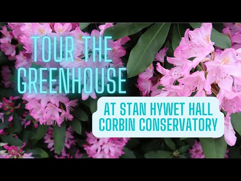 Quick Tour of the Conservatory at the Stan Hywet Hall &amp; Gardens - My Daughter &amp; I had a Great Time!