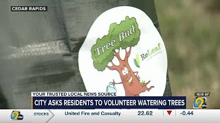 The city of Cedar Rapids launched its new program, “Tree Bud” to ensure trees in the city’s right...