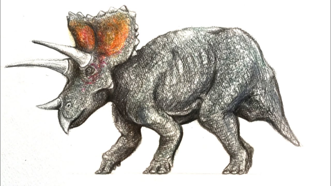 恐竜お絵かき トリケラトプスを描くdraw A Triceratops Youtube