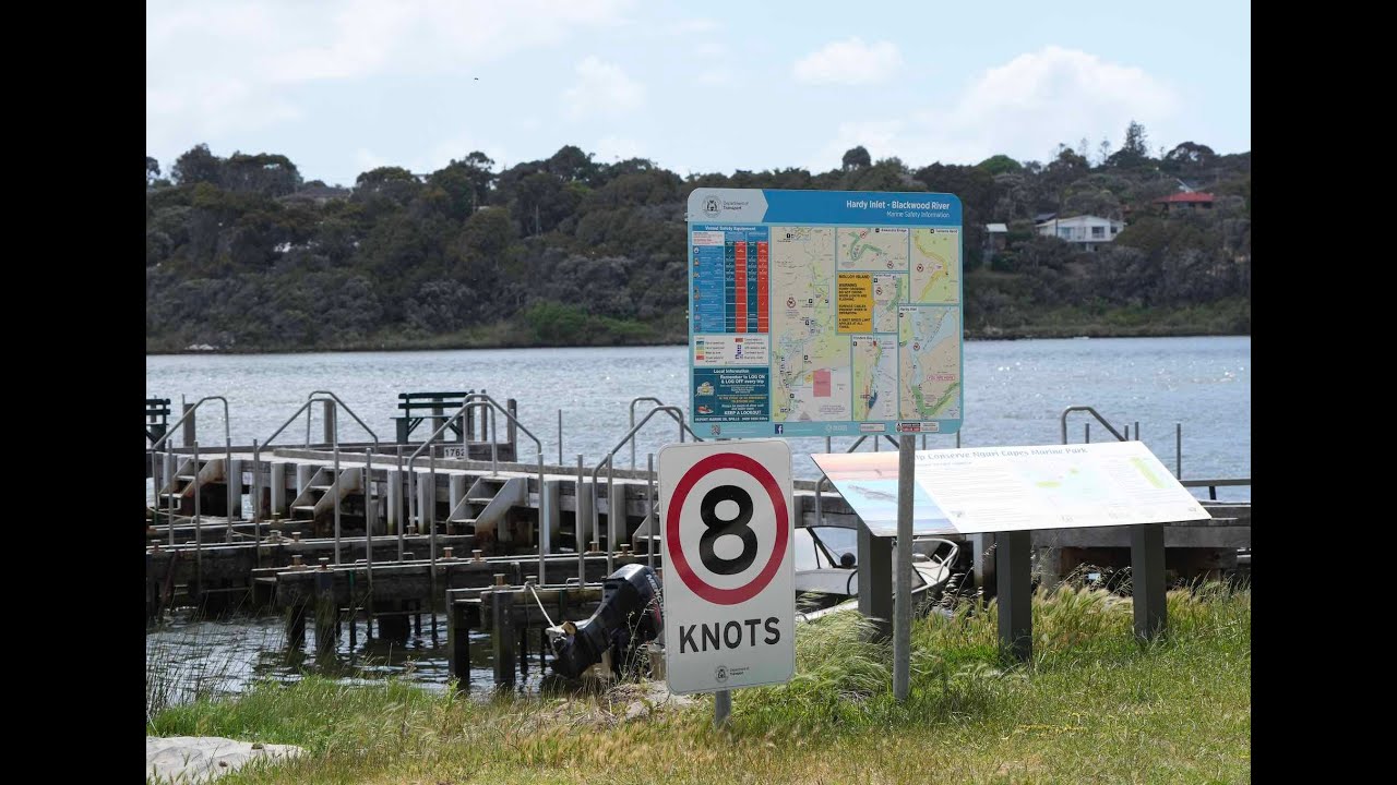 Pied Oystercatchers at East Augusta, Western Australia