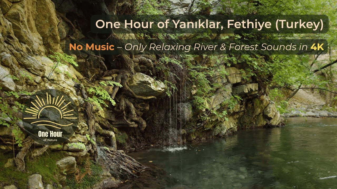 Mountain Spring Water Flow – Pure Nature Sounds for Relaxation (No ...