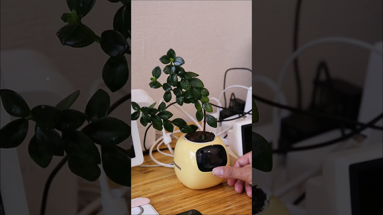 Smart plant, smart pet. This Ivy Smart Planter Pot is the future of plant care 😍