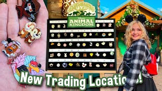 Animal Kingdom | New Pin Trading Locations & Great Finds!