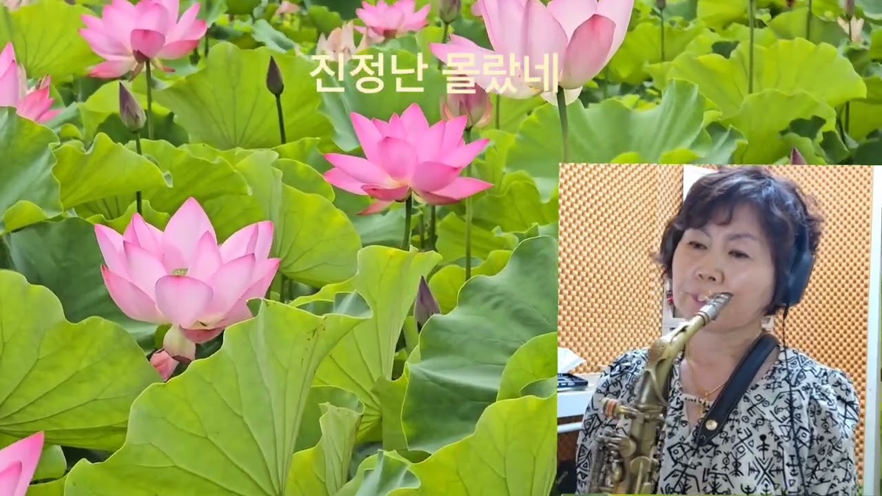 진정난 몰랐네 /  임희숙  ⚘️  색소폰 🎷 연주 