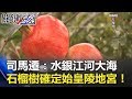 司馬遷：水銀江河大海 靠寒冬獨活石榴樹確定始皇陵地宮！！ 關鍵時刻 20180124-4 劉燦榮 馬西屏 朱學恒 黃創夏 王瑞德