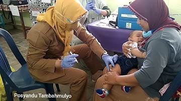 Video Profil Desa Tambahmulyo| KKN RDR-75 UIN Walisongo Semarang| Posko 13