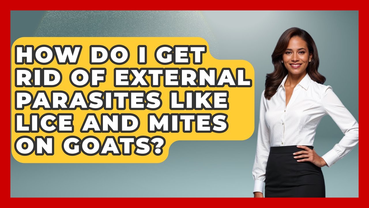 How Do I Get Rid Of External Parasites Like Lice And Mites On Goats? - The World of Agriculture