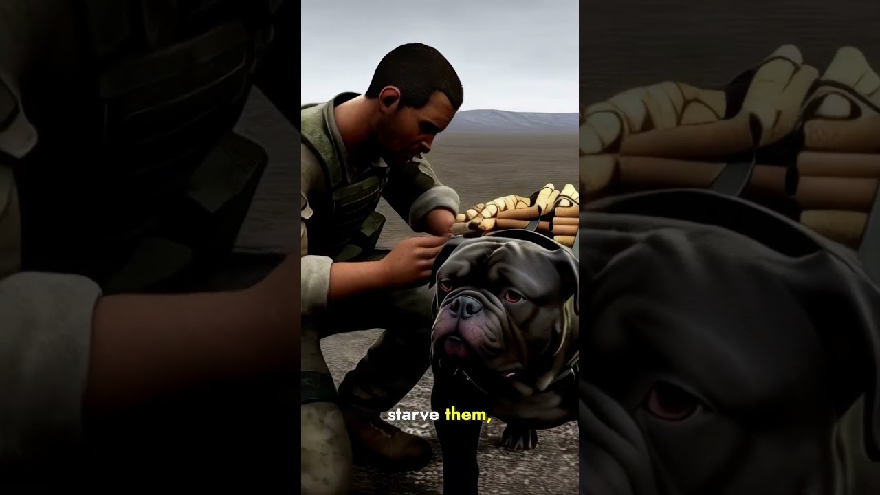 Soviets Strapped Dogs with Dynamites in WW2 