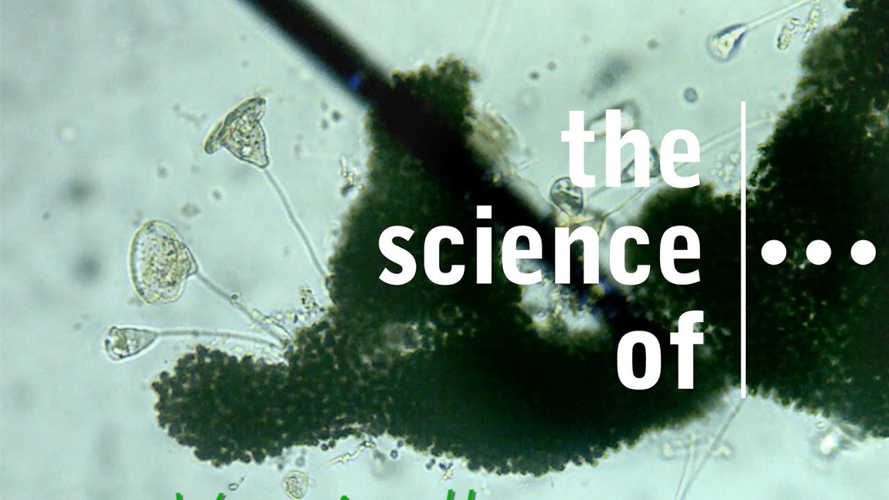 Plankton of the St. Johns River... (Science on the St. Johns)