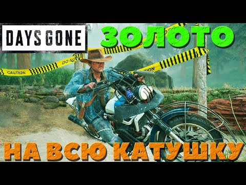 Видео: Days Gone(Жизнь После) - Я БАЙКЕР! ЗОЛОТО ВЗЯЛ! НА Всю катушку! Испытание.