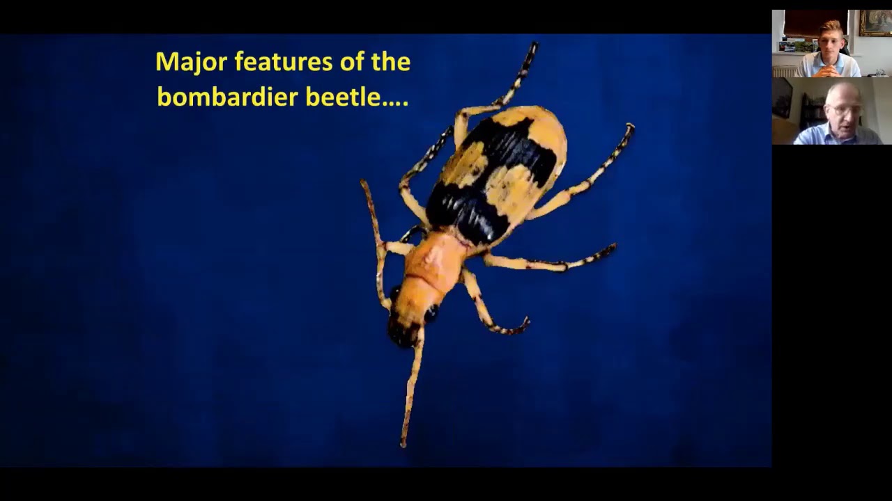 The Bombardier Beetle, Irreducible Complexity & "The Wonders of