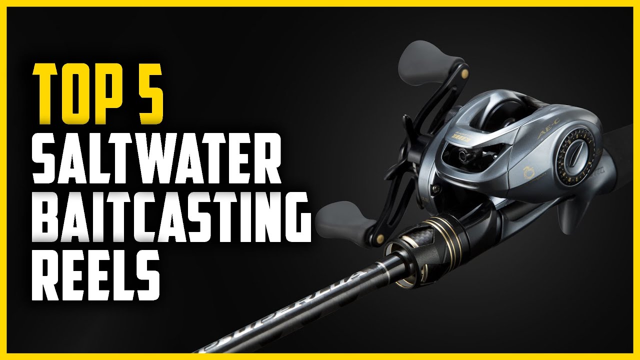 Top 5 Best Saltwater Baitcasting Reels in 2023 