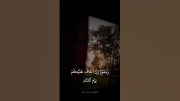 #قرآن #دعاء #اسلاميات #دينيه #قران_كريم #تلاوات #اكسبلور #اكسبلور_explore #قرانية #قرآني_جناتي