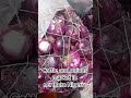 #fypシ #cattle #onions #youtube #youtubeshorts #cattlefarm #africa #america #asia #europe #australia