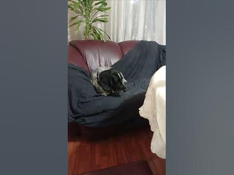 грусть? тоска? - YouTube