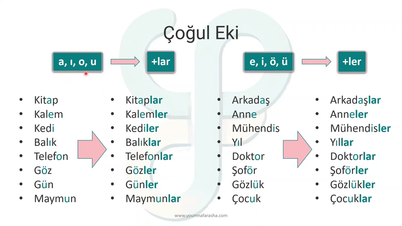 5. صيغة الجمع