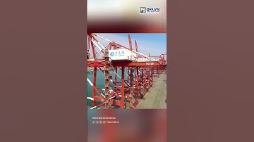 Vingroup làm dự án khu bến cảng và trung tâm logistics hơn 14 tỷ USD ở Hải Phòng