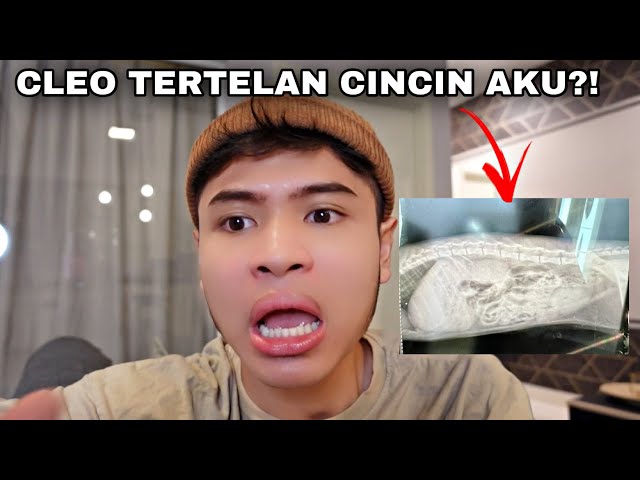 CLEO TERTELAN CINCIN AKU?!😱| KENA PERGI X-RAY MATT‼️ class=