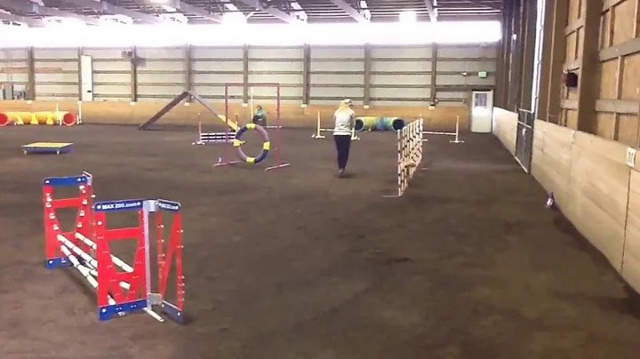 Paula/Parrish team Mast/Excellent Std run June 17,...