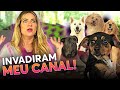 A TRANSFORMAÇÃO DA LASANHA! - CONHEÇA TODOS OS DOGUINHOS DA FAMÍLIA EWBANK!