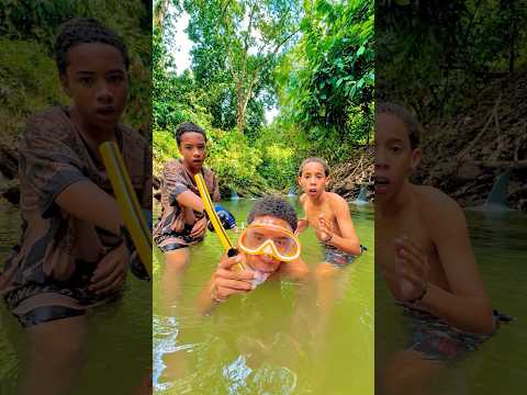 No encontramos con un tiburón 🦈 en un río 😱🏞️ #tendencia #humor #