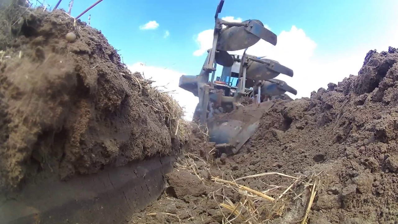 Orka Pod Pszenżyto 2017☆Massey Ferguson 3080