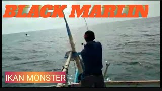 Ikan Black Marlin Ikan Monster Ambyar Fishing Manokwari