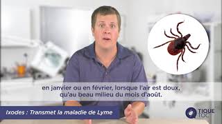 Question 12 : Quand les tiques s'activent-elles?