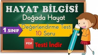 1. Sınıf Hayat Bilgisi : Doğada Hayat, Değerlendirme Testi