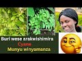 Umuti Wakugira Mwiza Abantu Base Bakajya Bakwishimira Ukuraho Icyangiro Cyikakuvaho Ako Kanya