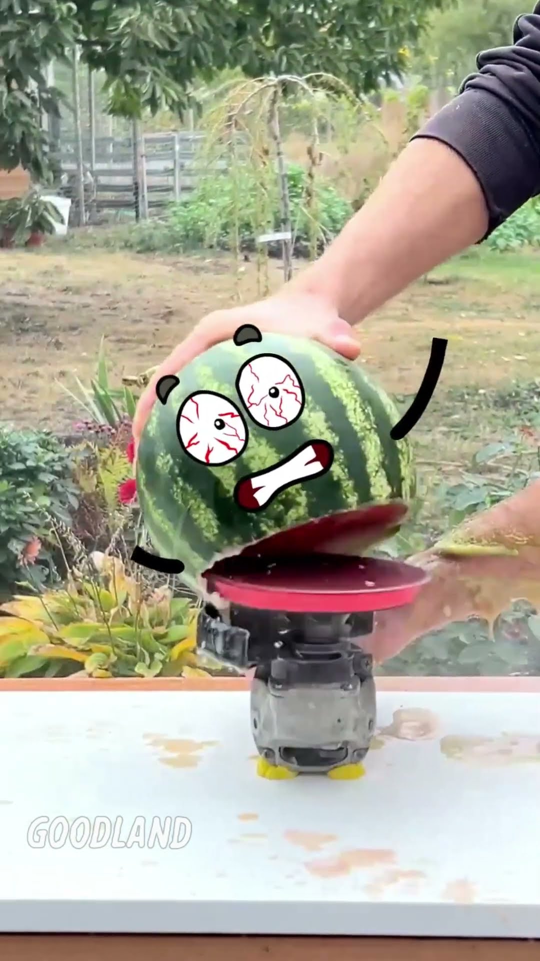 Watermelon Takes on Grinding Machine in EPIC Battle!