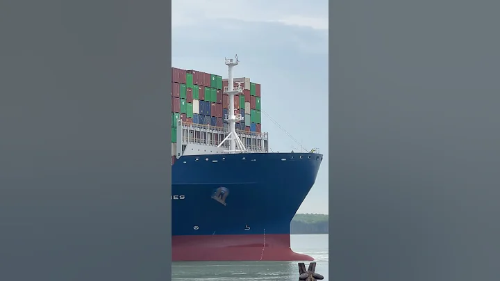 Container Ship View🌹🇮🇳 #viral #ship #reel #yt