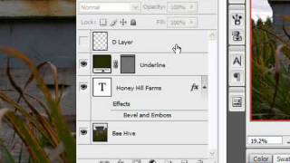 Flatten Layers in Photoshop CS3 Net Worth