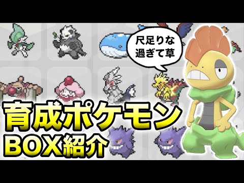 ソードシールド ポケモンボックスの入手方法と効果まとめ ポケモン剣盾 攻略大百科 ソードシールド ポケモンボックスの入手方法と効果まとめ ポケモン剣盾 攻略大百科